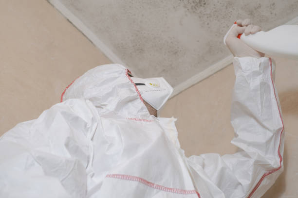 Best DIY Mold Remediation Support Services in Greenville, VA